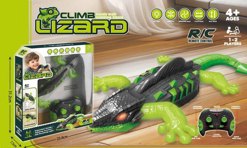 RC LIZARD